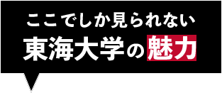 屋内企画／屋外企画／模擬店のご紹介